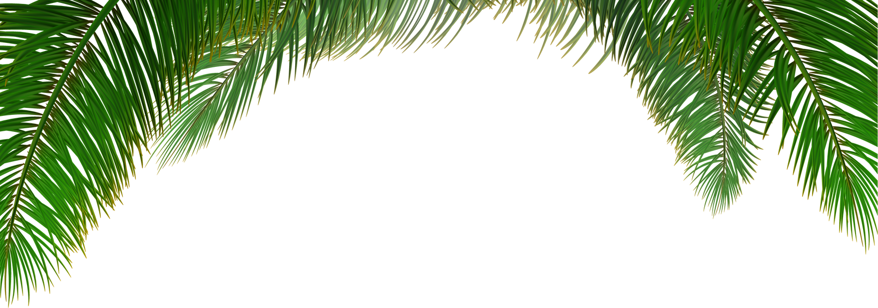 Tree Leaves Border
